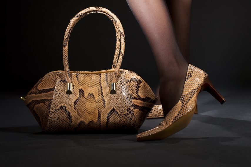 snake skin purse