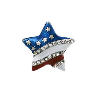 American Flag Star Brooch-thumnail