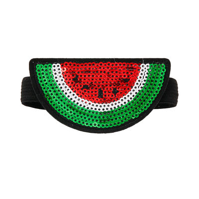 Pair of Watermelon Sequin Shoe Bands-thumnail