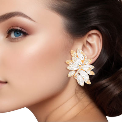 Wholesale clip on earrings top by the dozen